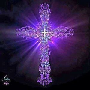 Meet your Posher, Dan